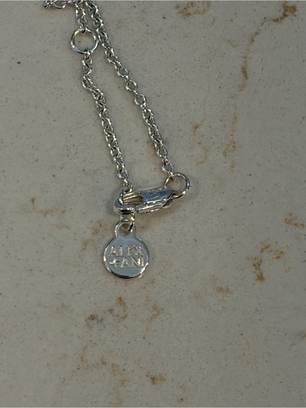 Alex and Ani Silver Druzy Bar Necklace - Picture 3 of 4